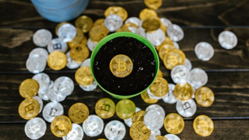 O Que É Staking em Criptomoeda? Como Funciona e Quais os Riscos Reais